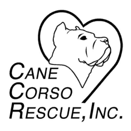 cane corso puppies for adoption